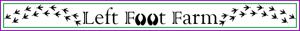Left Foot Farm